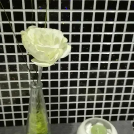 Apartamento Ferienwohnung Walldorf Business Sap *
